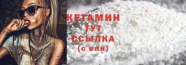 гидра Бородино