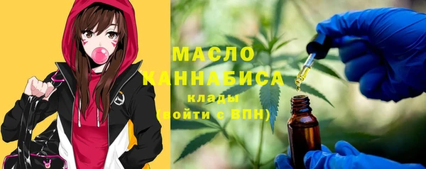 гидра Бородино