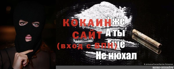 гидра Бородино