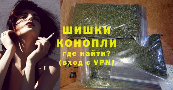 гидра Бородино