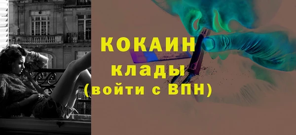 гидра Бородино
