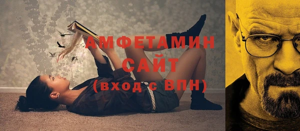 гидра Бородино