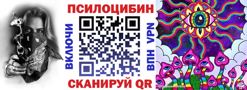 даркнет сайт Нижневартовск Псилоцибиновые грибы Psilocybe